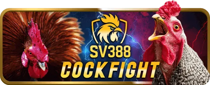Cá cược thể thao A88 Link Mới